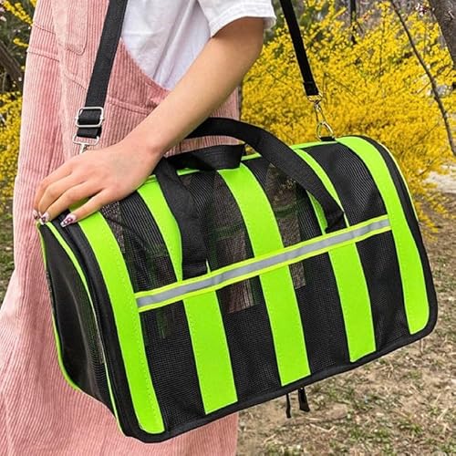 Bolsa Mala Transporte Pet Cachorro Gato Viagem Avião(Verde,P - 37 x 23 x 22 cm)