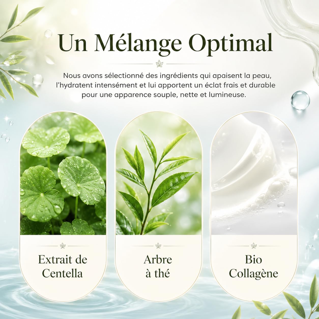 Leaf Cosmetic Masque Purifiant Visage Avec Collagène Et Tea Tree Pour Texture De Peau Affinée (3 boîte – 12 pièces)