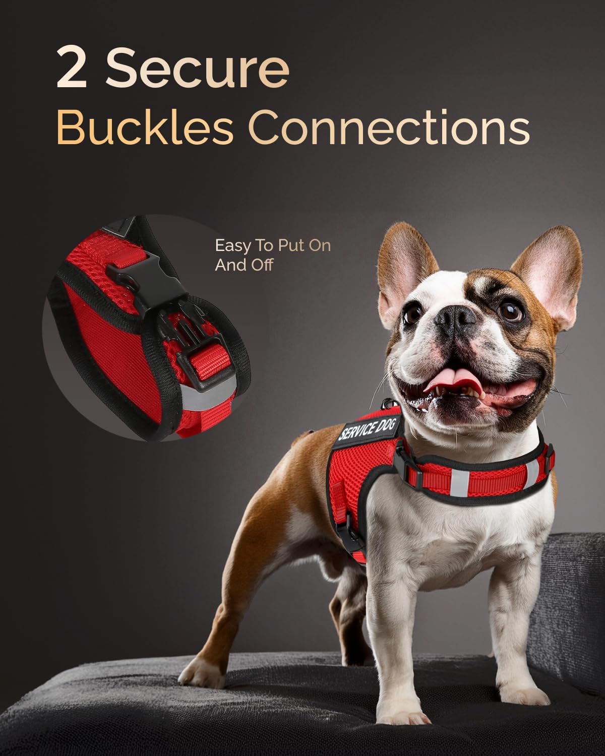FAYOGOO Service Dog Vest for Small Dogs - Breathable Air Mesh Service Dog Harness with Leash & 6 Patches, Adjustable No-Choke Design for Walking, Travel & Public Access