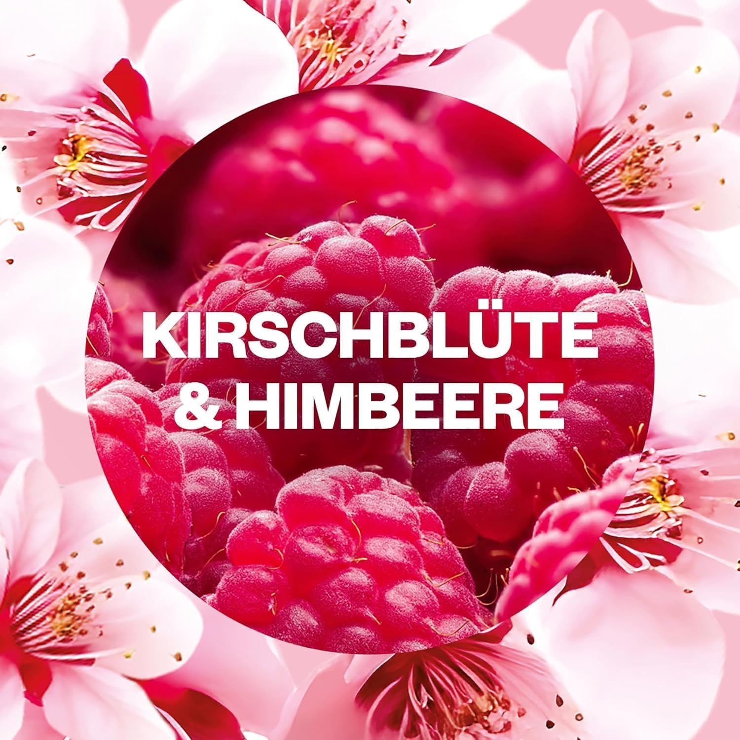 Air Wick Duftstecker Starter-Set Paket inklusive 1 Geräte & 1 x 19ml Kirschblüte & Himbeere Nachfüller & 1 x Süße Vanille & Sheabutter 19ml Nachfüller