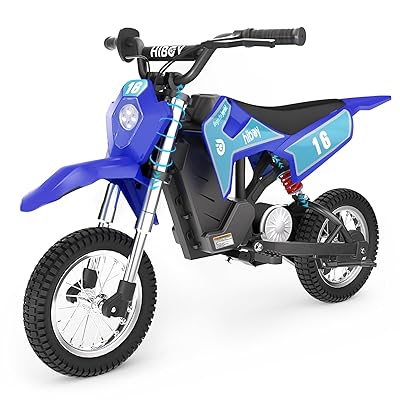 Hiboy DK1 36V Electric Dirt Bike,300W Electric Motorcycle - Up to 15.5MPH & 13.7 Miles Long-Range,3-Speed Modes Motorcycle for Kids Ages 3-10
