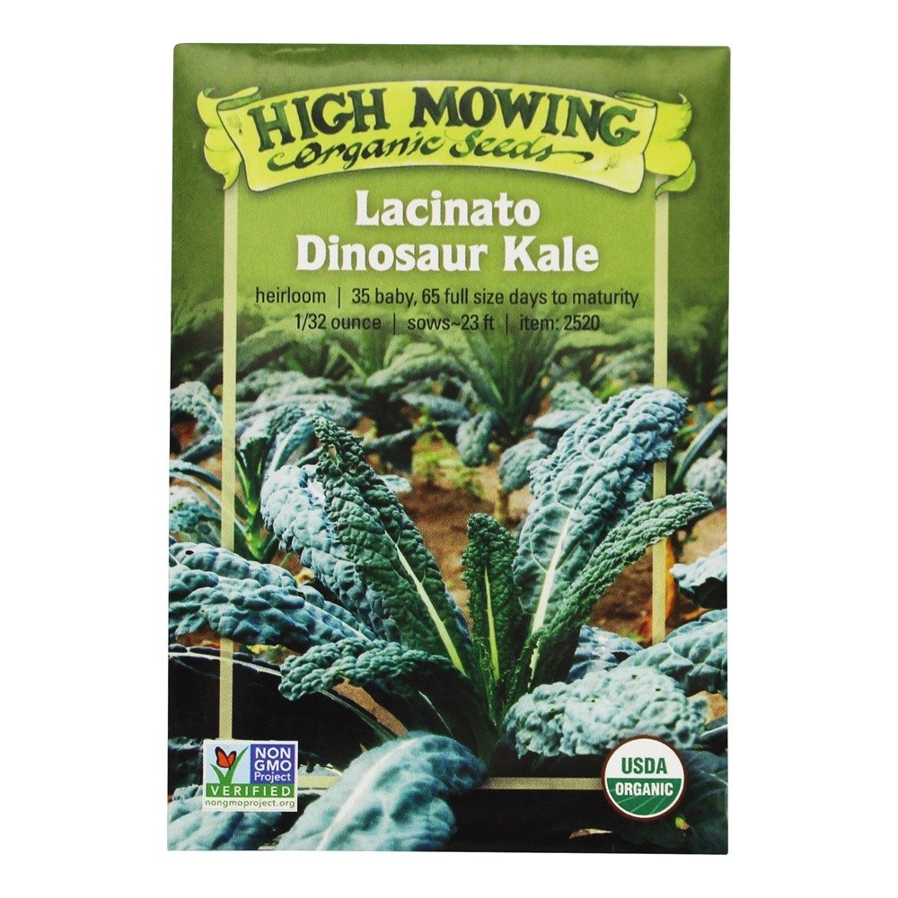 Lacinato 'Dinosaur' Kale 1 Packets