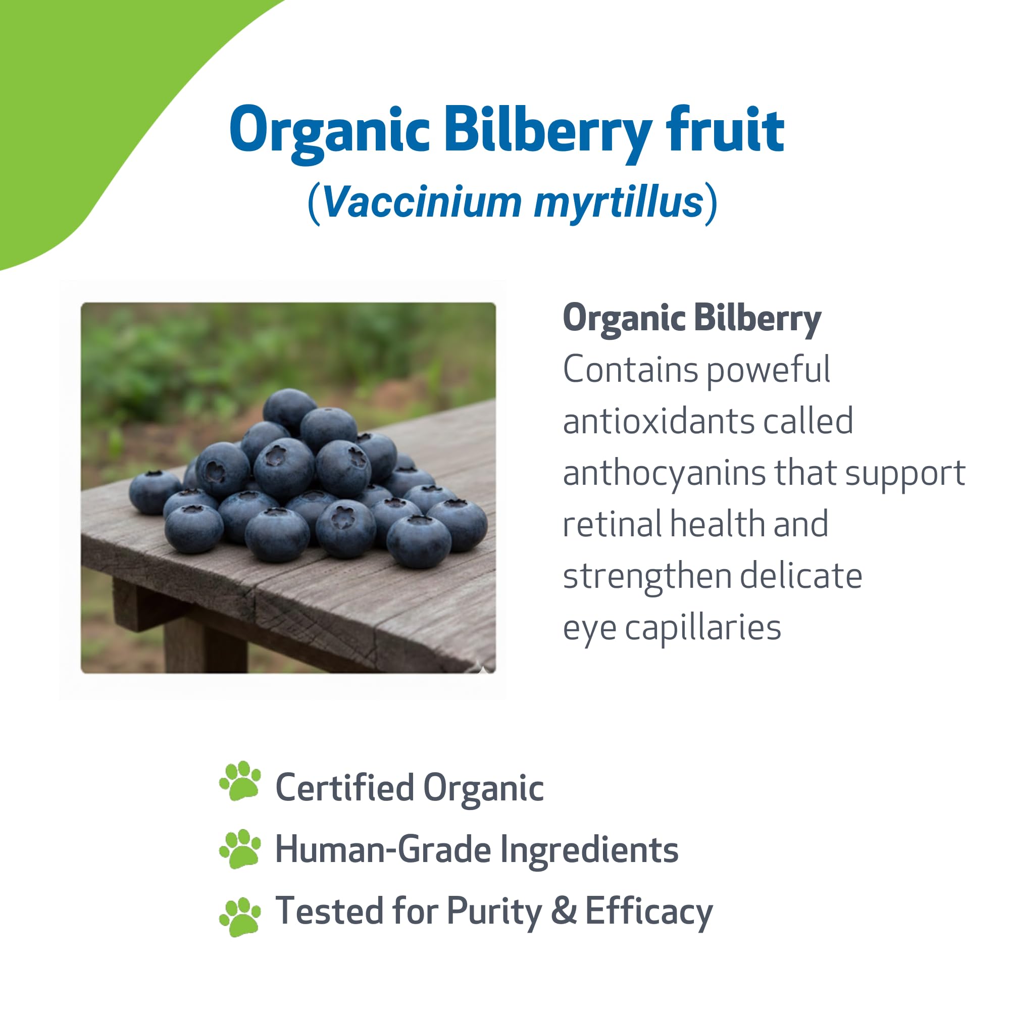 Pet Wellbeing Organic Bilberry for Dogs - Eye Health & Vision Support, 2 oz — Amazon image 3