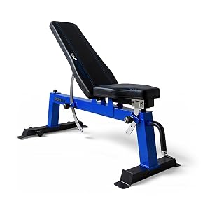 Cap Barbell Deluxe Utility Weight Bench Color Series