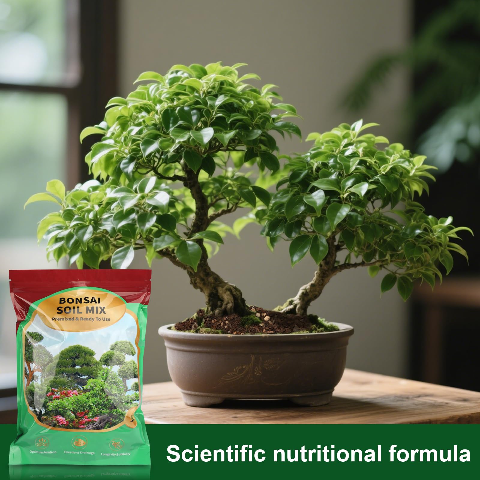 GOTVUGE Professionelle Bonsaierde mit verbesserter Luftdurchlssigkeit und  Drainage  Hochwertige Pflanzerde fr Bonsai | 1 L Premium Bonsai  Substratmischung : Amazon.de: Garten