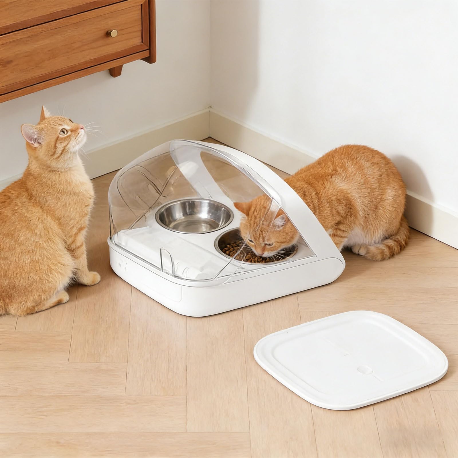 El dispensador automático trasero evita el robo de alimentos mientras una sola mascota está comiendo, se adapta a la mayoría de dispositivos, accesorio de alimentador automático