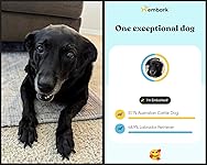 Review Image by lacrema lacrema