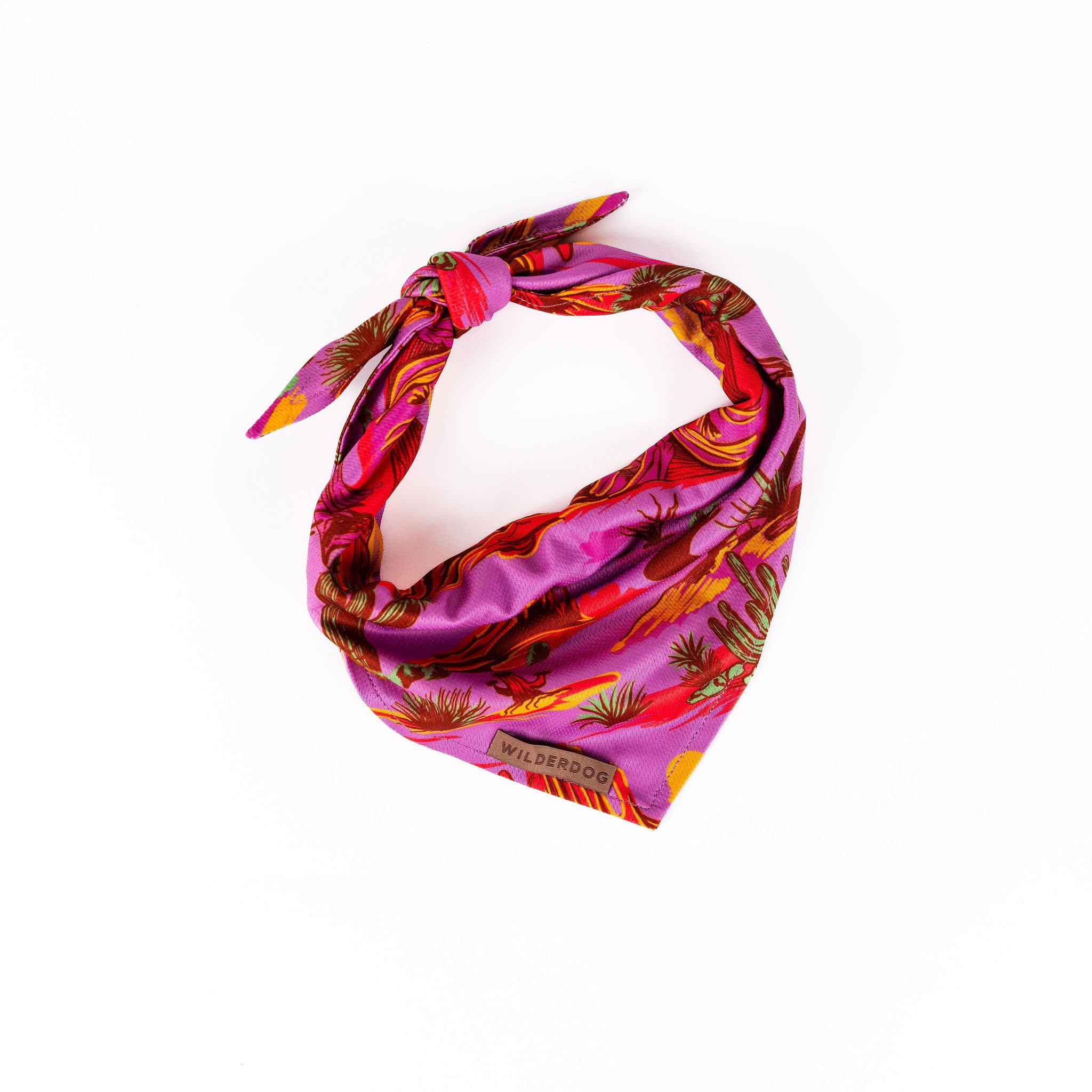 Wilderdog Dog Bandana with Lightweight Quick Drying Poly-Blend Mesh Material in Laramie