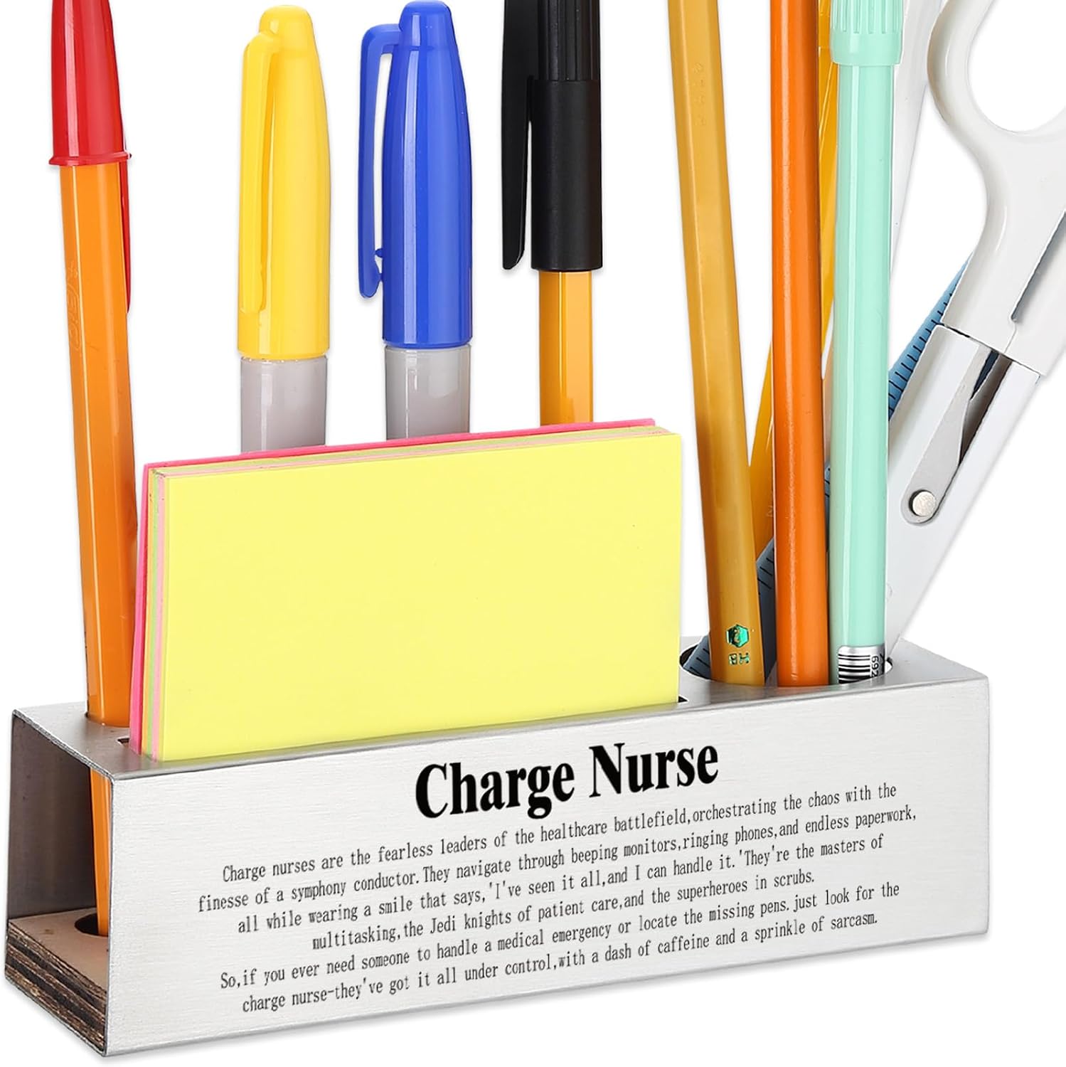 Funny Charge Nurse Appreciation Gift for Head Nurses Healthcare Leaders, Nurse Office Décor for Hospital Workstations, Medical Professional Humor Gift, office Pencil Holder Desk for Desk SD280