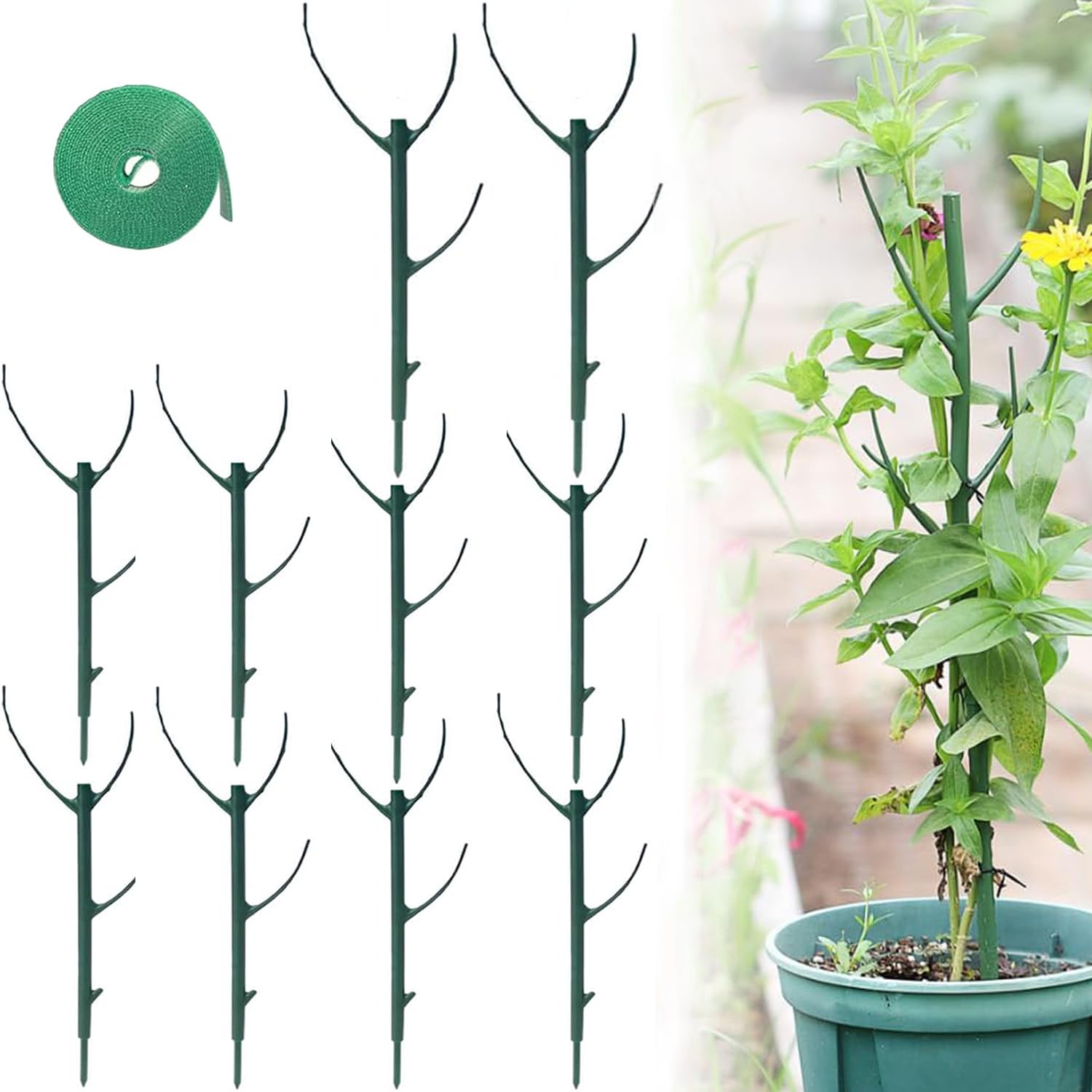 Clips de plantes pour soutien, piquets d'entraînement empilables pour Monstera et autres plantes, stabilisation durable de la tige pour une utilisation dans le jardin