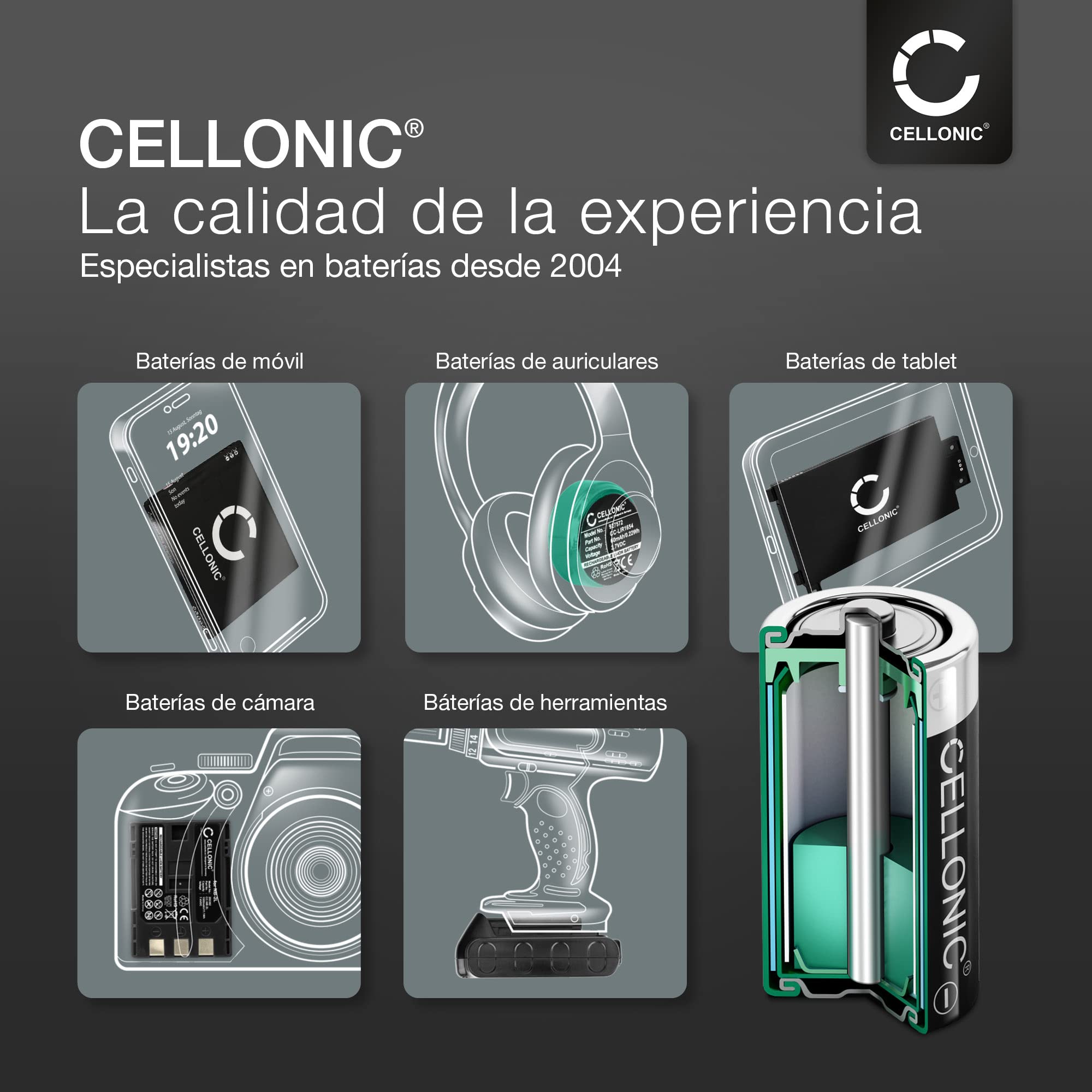 CELLONIC AAA NiMH Baterías Pilas para mandos a Distancia, Juguetes - 12x | Recargable (1000mAh, 1.2V) para electrónica, para DOM Tapkey Guard S, ENiQ Guard S