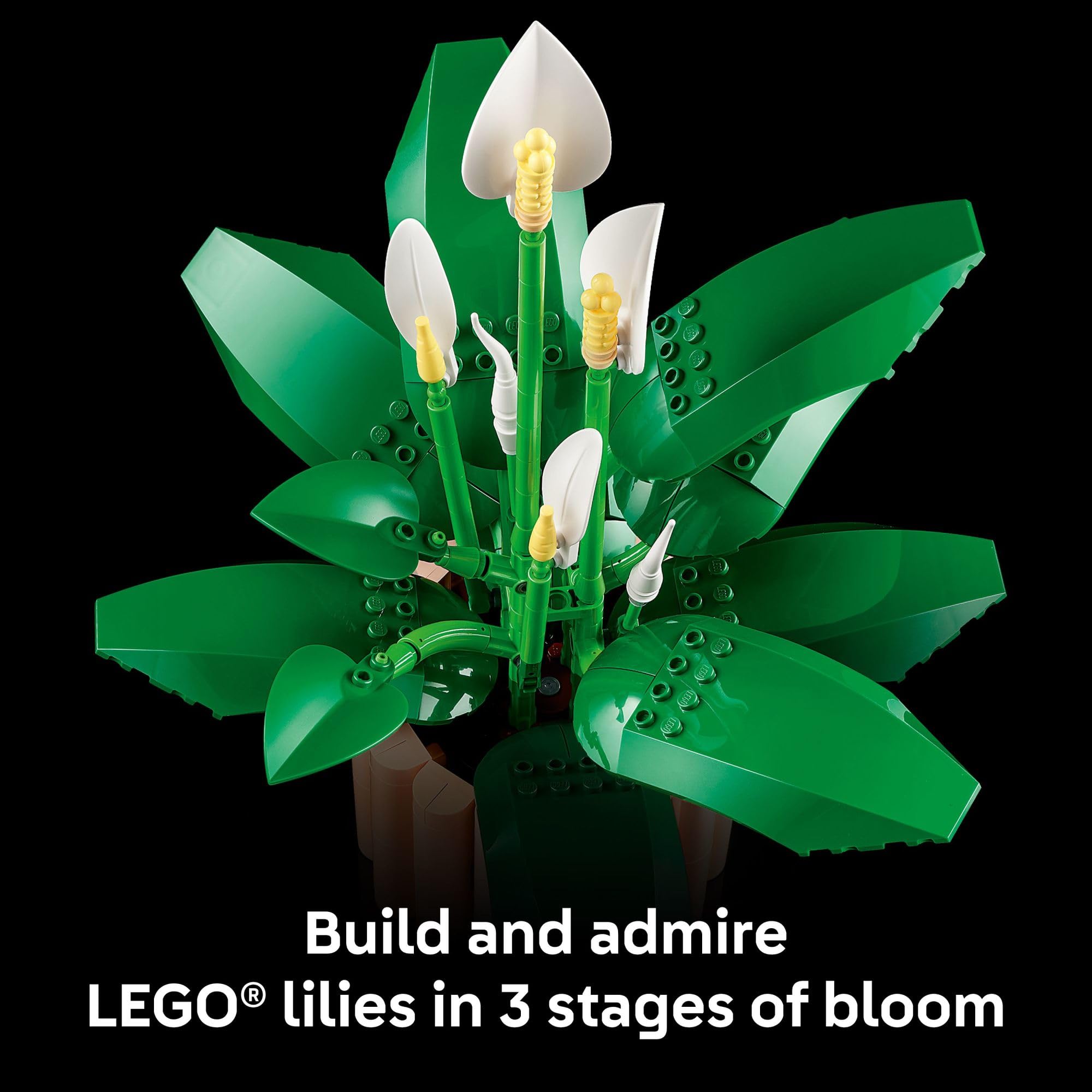 LEGO Botanicals Peace Lily Flower Building Set for Adults - DIY Bedroom, Book Shelf & Office Decor for Women & Men, Ages 18+ - Artificial Flowers Crafting Kit - Gift Idea for Birthdays - 11504