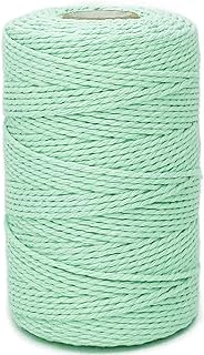 Twine String,500 Feet Cotton Butchers Twine String Cooking Kitchen Twine for Crafts Roasting Gift Wrapping DIY Decoration Gardening Packing Materials,Mint Green