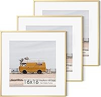 Vista 437 de Fun Memories Portarretratos de metal de 16 x 20 pulgadas con paspartú de 11 x 14 pulgadas, acabado de aluminio cepillado, parte delantera de vidrio