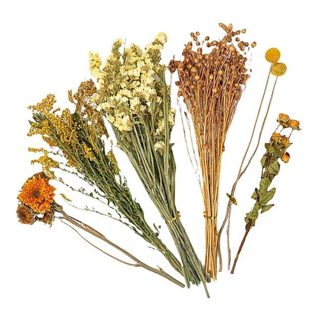 Foto 7 de 8 de Cacha de flores de heno para hámster - Flores de animales - Hábitat de vida - Para recintos