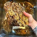 Customer Image, click to open customer review