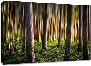 Forest Abstract Large Canvas Wall Art. Michigan USA Photography Print.