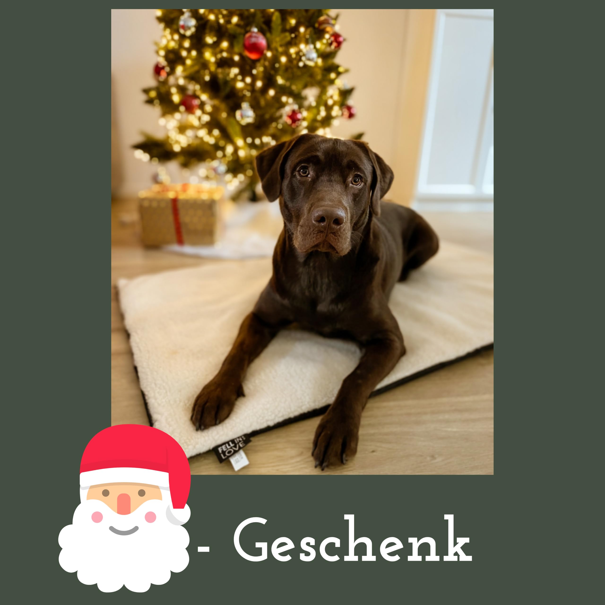 Fellou Heizdecke Katze 60 x 40 cm - Selbstheizende Decke Katze - Waschbar, Knisterfrei & rutschfest - Wärmedecke Hund - Heizmatte Haustier - Kuschelig weiche Wärmematte ohne Strom in beige