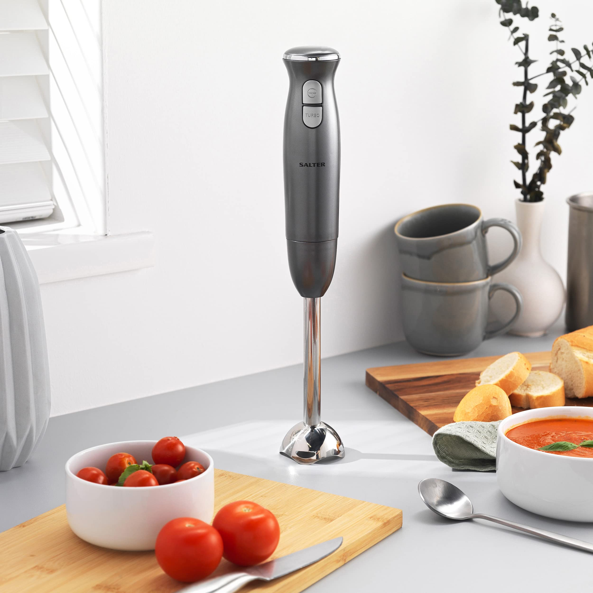 Salter Cosmos Mixeur Plongeant & Batteur Électrique 400W, Mixeur avec Tige et Lames Inox Amovibles 2 Vitesses, Pour Soupes/Smoothies/Sauces, Gris Acier/Argent, Prise UE