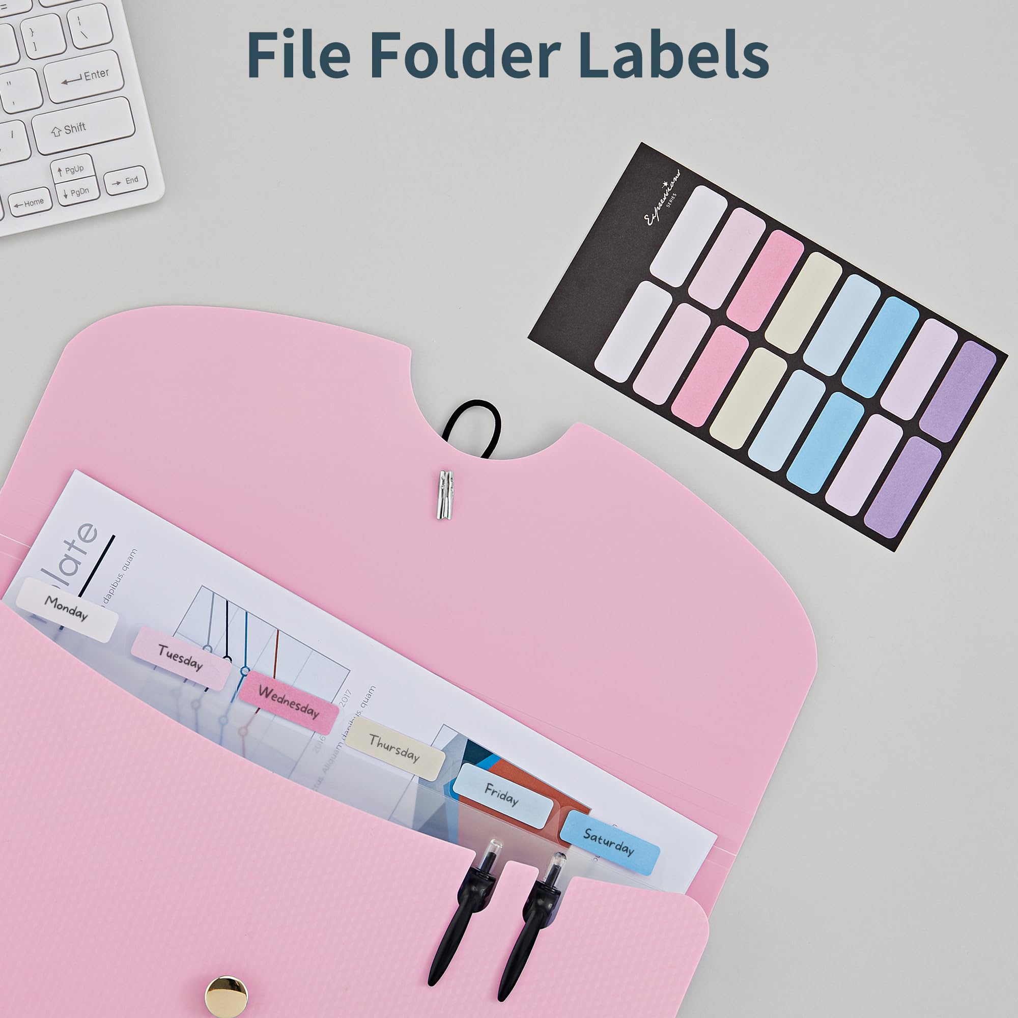 JARLINK Organizador de archivos, carpeta de archivos expansible, color rosa macarrón