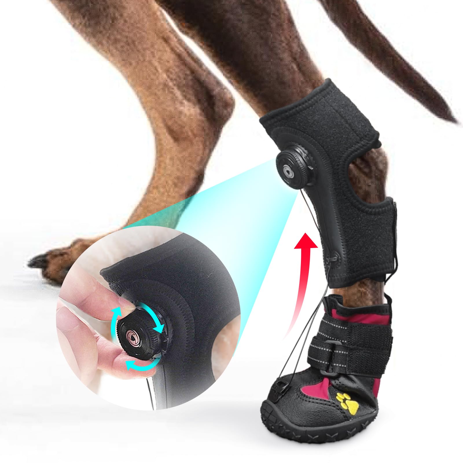 HAGGEMI Drop Foot Boot Brace