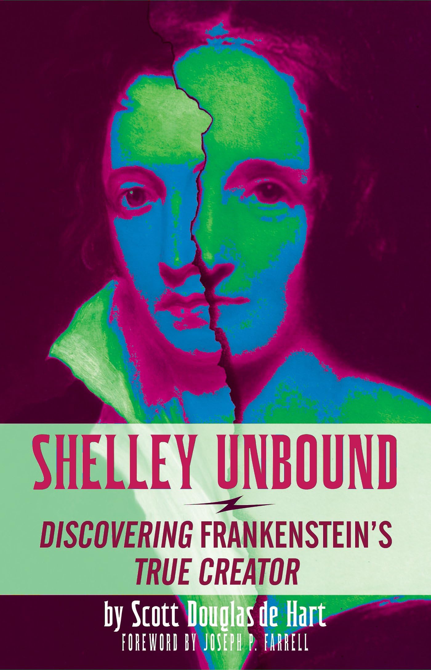Shelley Unbound.by De-Hart  New 9781936239603 Fast Free Shipping>|