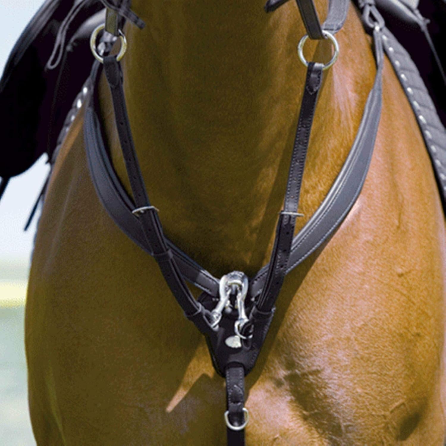 pettorale per la caccia all'uomo