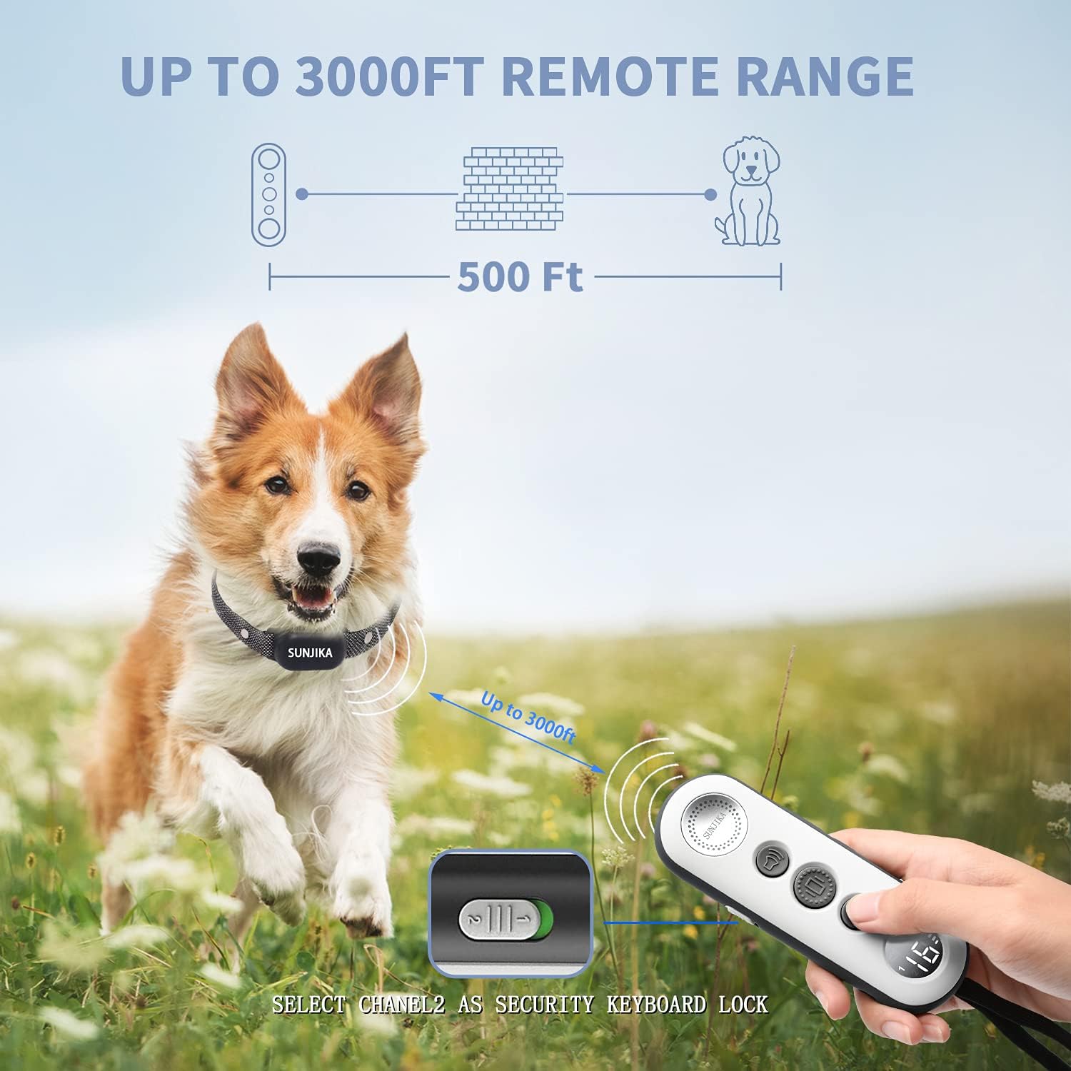 mothca dog training collar