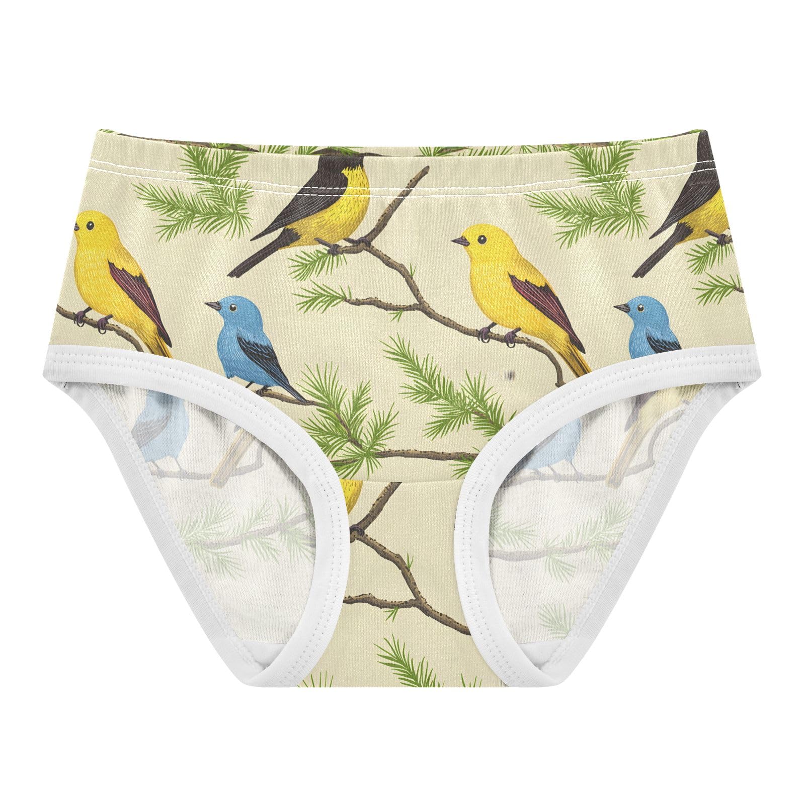 ALAZA Toddler Girls Cotton Hipster Underwear Soft Bird Branch Pattern 2 Pack 2T