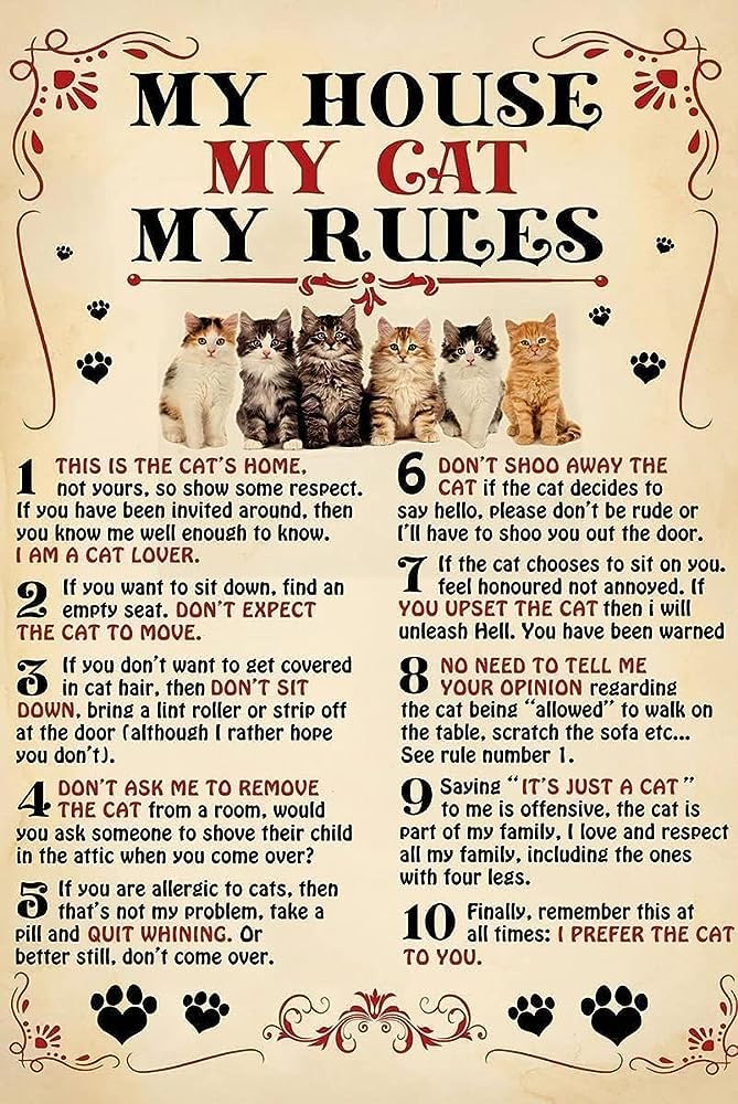 Yunking A167 Funny Tin Metal Signs My House My Cat My Rules Vintage Sign Retro Tin Signs Vintage Metal Tin Sign For Bar Home Wall Metal Decoration 8×12Inches