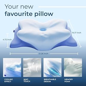 Best Cervical Neck Pillow for Neck and Shoulder 15 71gRooSlrBL. AC SL289