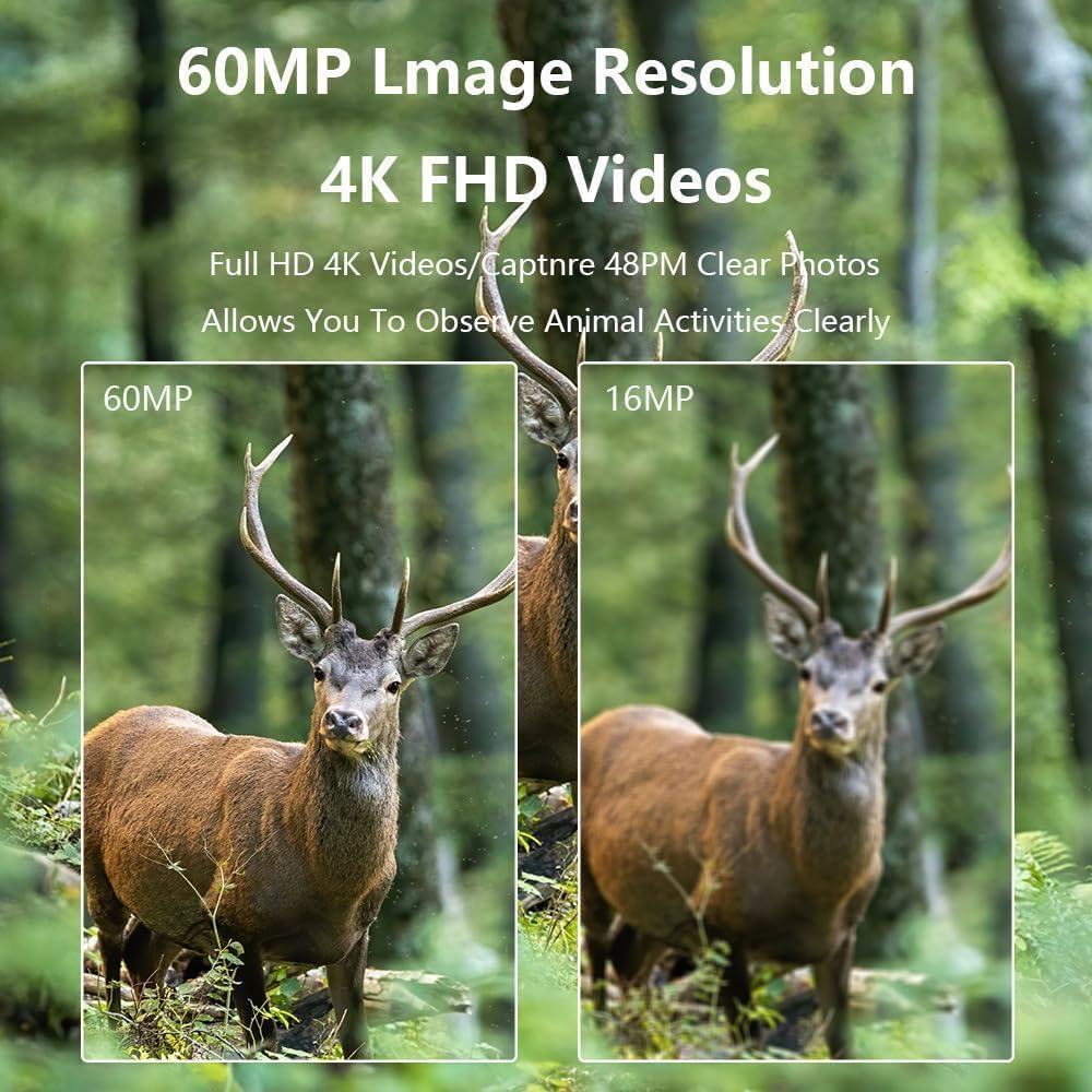 CAMÉRA DE Chasse Vision Nocturne 60MP, 4K HD Infrarouge Caméra Animaux Piège Photographique LCD Caméra Chasse Nocturne Extérieur Étanche No Glow Invisible Caméra Surveillance