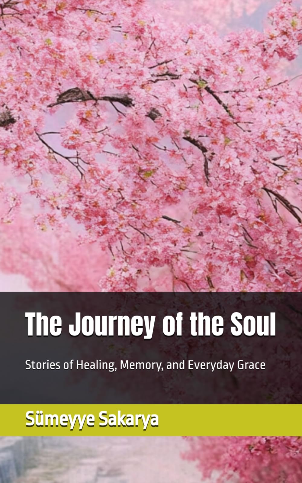 The Journey of the Soul: Stories of Healing, Memory, and Everyday Grace