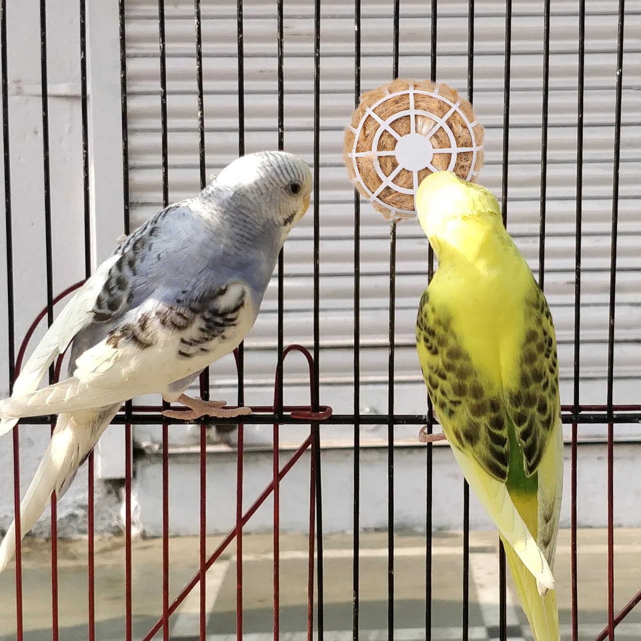 HEMOTON Matériaux de Nidification Souples en Coton et Jute, Lot pour Cage à Canari, Accessoires pour Oiseaux, Matériau Réutilisable pour Nids d'oiseaux, Fournitures pour Cages et Litière