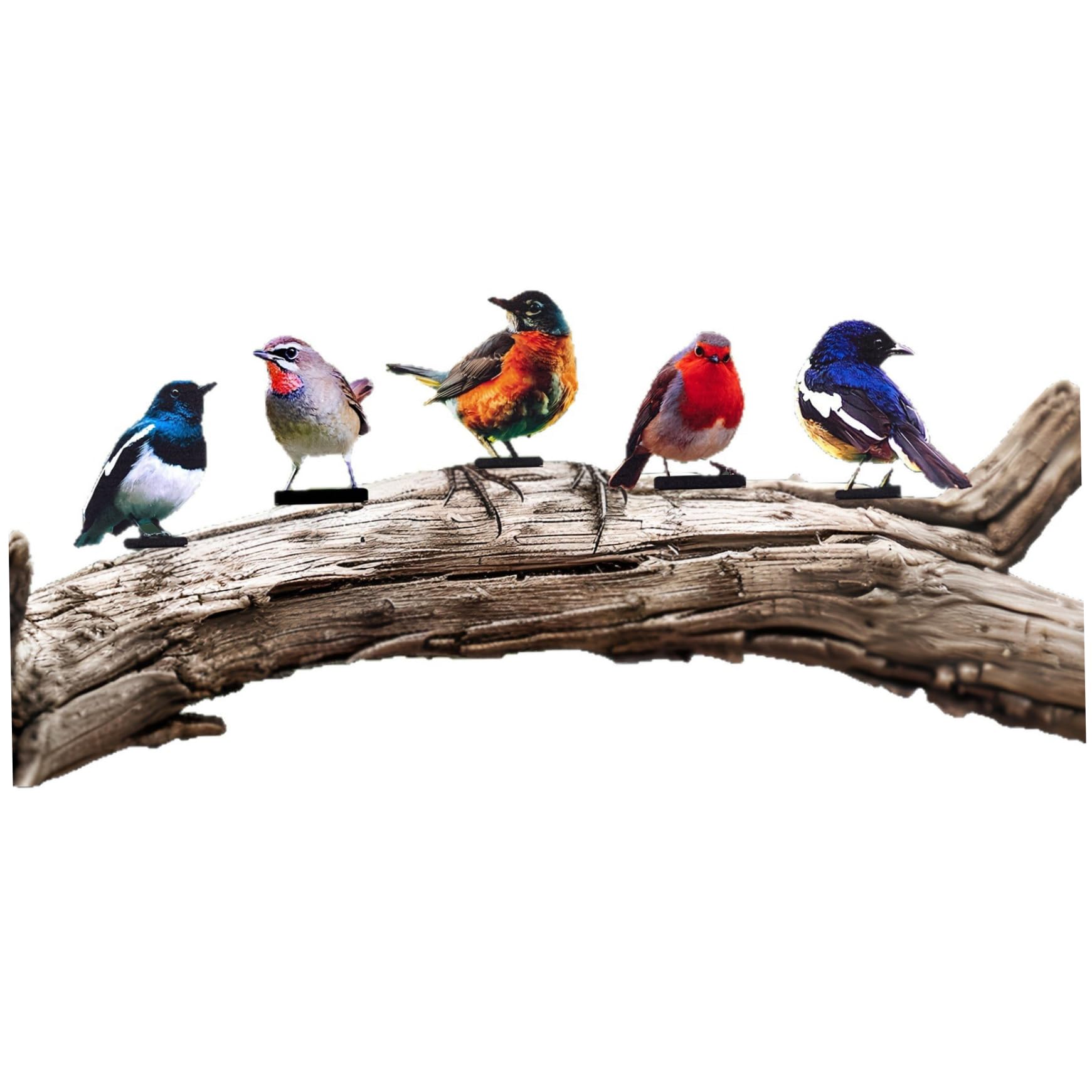 Sculptures murales oiseau en métal pour un jardin coloré et vibrant