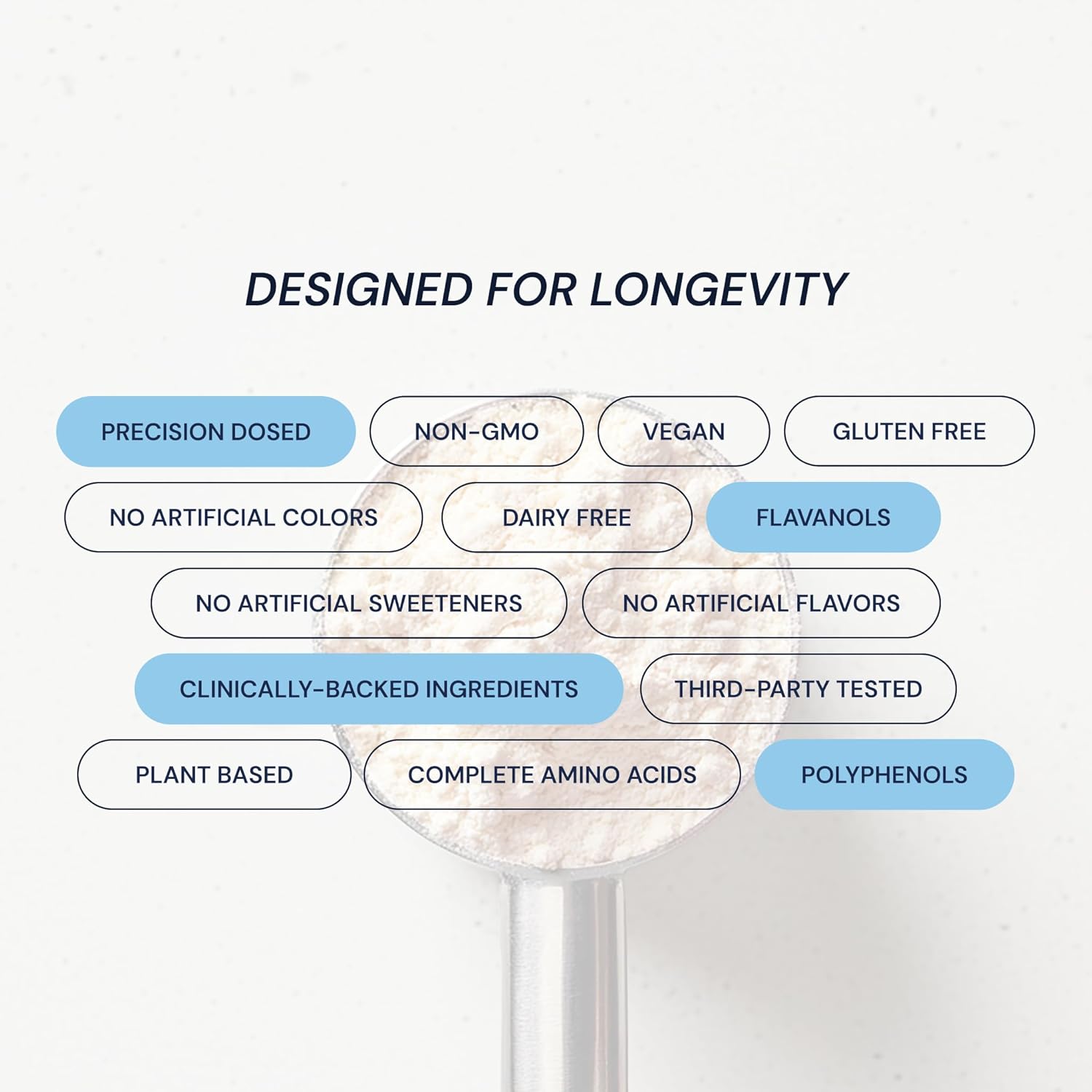 Blueprint Bryan Johnson Chocolate Protein Powder – Vegan Plant-Based Supplement with Cocoa Powder – Clean Ingredients – 26g Protein per Serving – Non-GMO – 30 Servings - Image 7