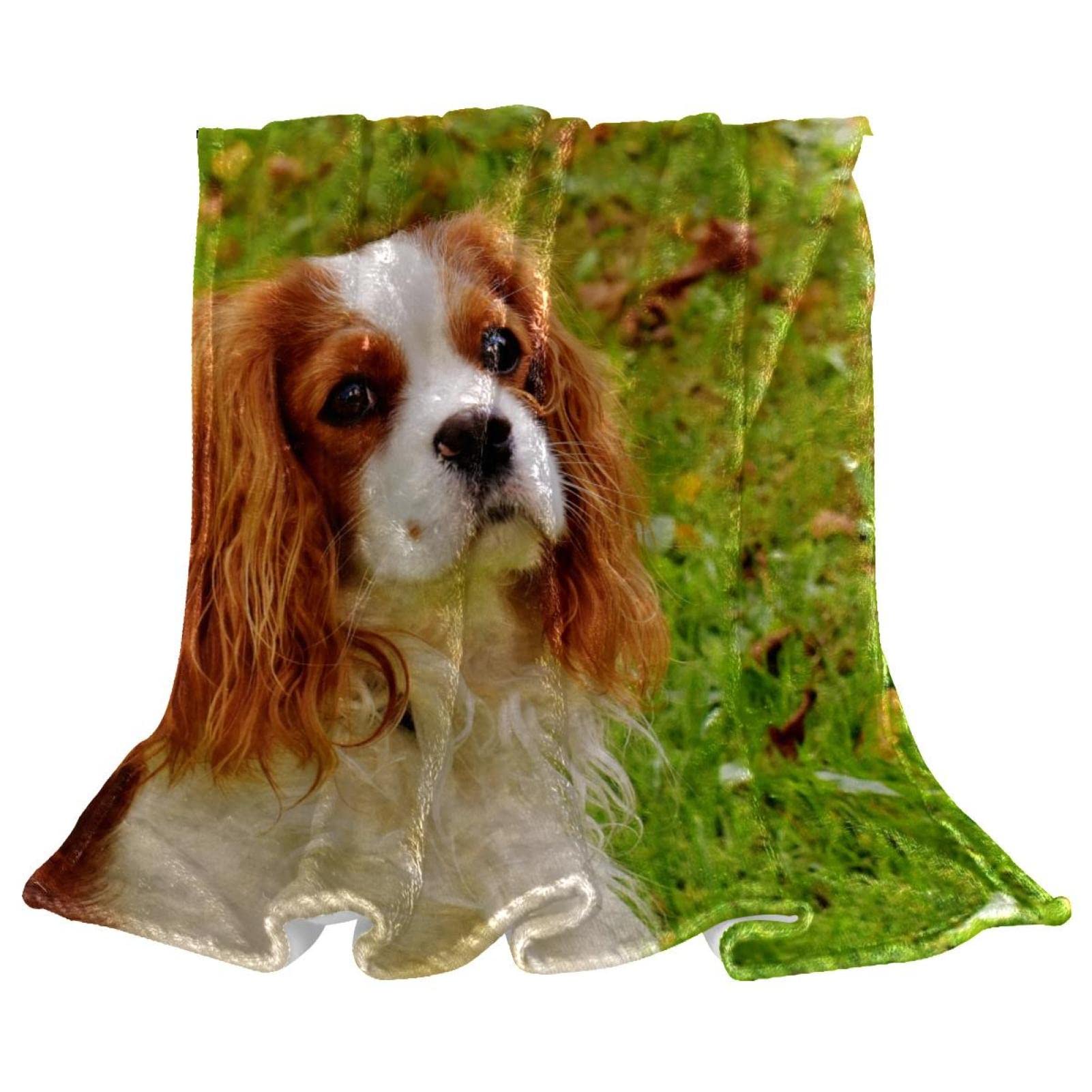 Couverture de lit douce pour chambre d'enfant au motif de chien