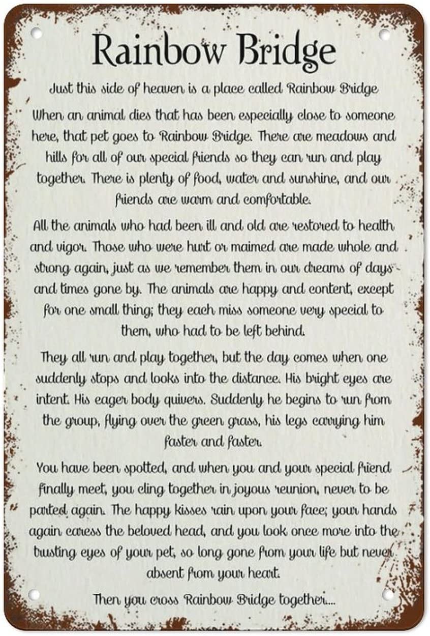 Decor Pet Dog Cat Memorial Remembrance Loss of A Pet Loss Gifts Rainbow Bridge Poem Quote Spring 6x8 in Tin Sign Home Decor Home Art Metal Signs Wall Art Wall Decor Poster