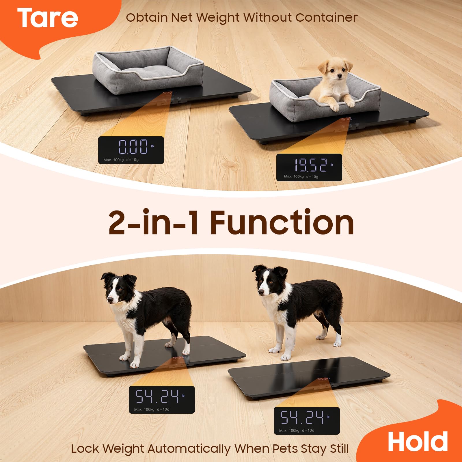 Bilancia cane Pet Scale Bilancia Animale Bilancia Peso Cane Casa Vet Salone Animale Misura Precisa 10g Display LED Funzione Tare Conversione Kg Lb St Surface Vetro ABS Antiscivolo Uso Domestico