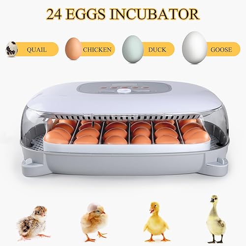 Miniatura 7 de Incubadora para incubar huevos, 24-50 huevos Máquina automática para criar aves de corral con control de humedad, torneado de huevos, vela de