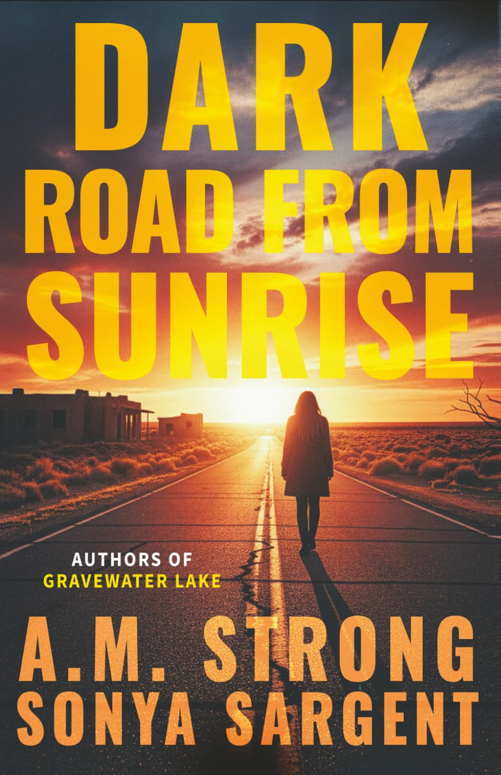 Dark Road From Sunrise (Patterson Blake FBI Mystery Thrillers)