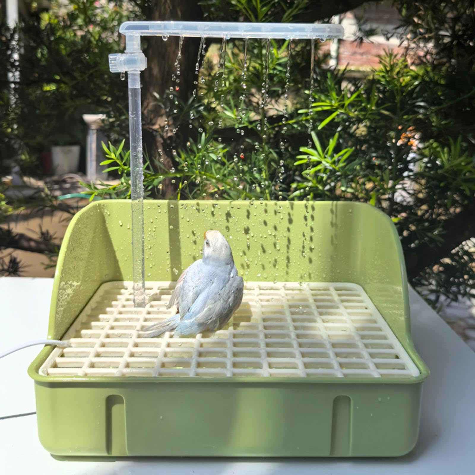 Baignoire Automatique pour Oiseaux, Baignoire pour Perroquets et Perruches, Baignoire pour Oiseaux de Taille Moyenne, Vert
