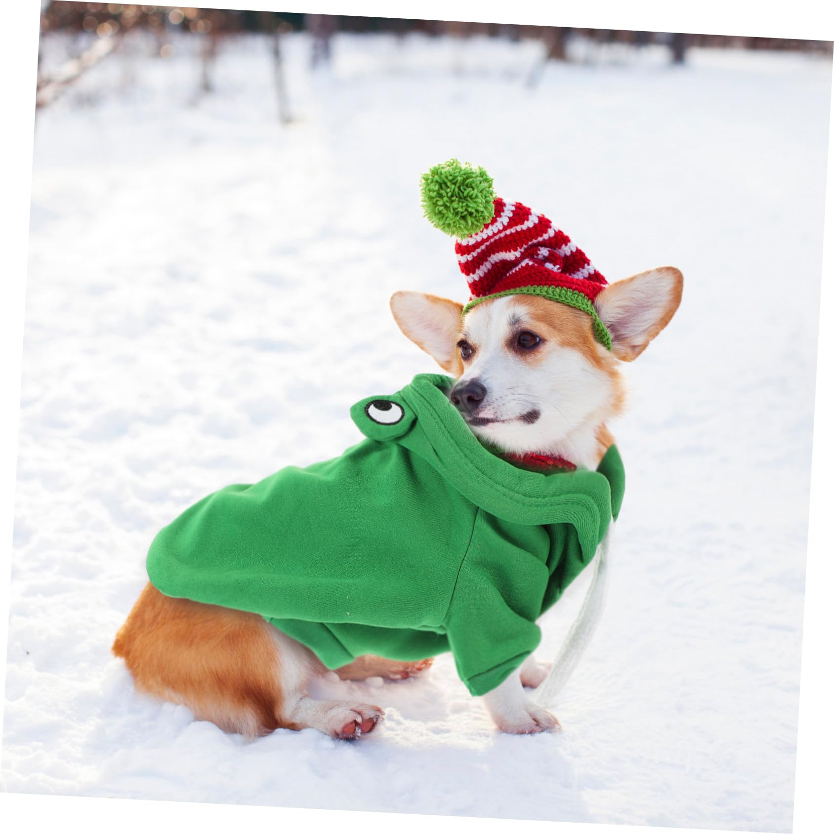 Sosoport 3pezzi Cappottino Invernale Per Cani Felpa Calda e Alla Moda Per Cuccioli Abbigliamento Adorabile Per Mantenere Tuo Zampe Caldo Inverno