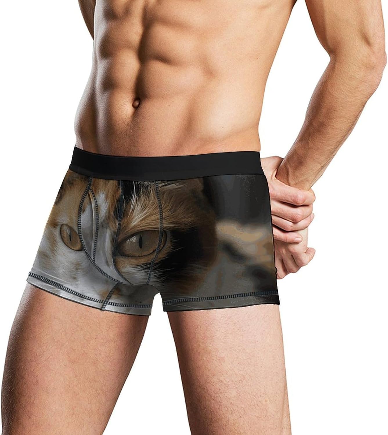 A Cat Mens Boxer Briefs Short Breathable Underwear Trunks Soft Moisture-Wicking Boxer Shorts Novelty Underpants