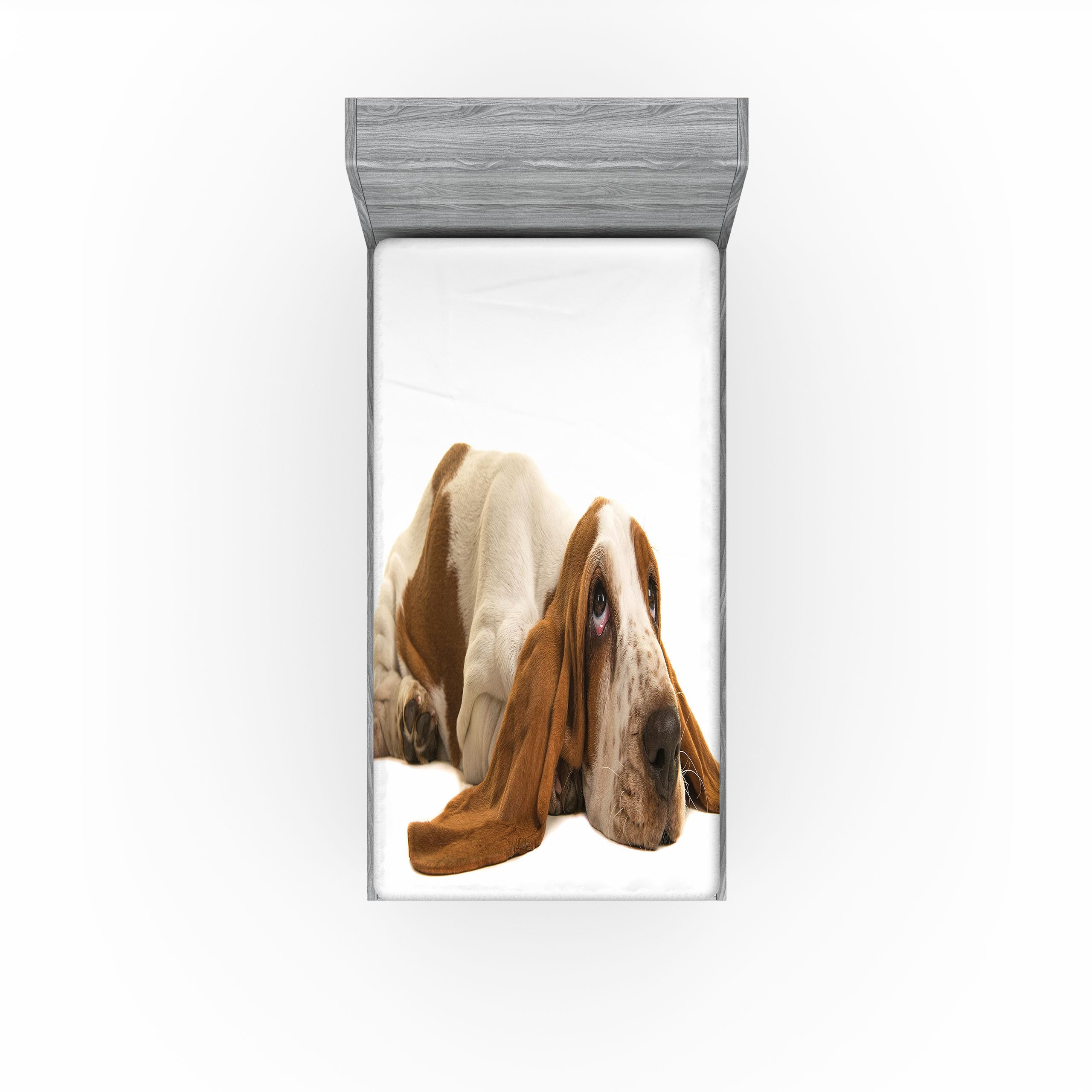 Ambesonne Basset Hound 2 Pack Fitted Sheet, Long Eared Dog, Bed Cover All-Round Elastic Deep Pockets 2 Pieces, Package Contains 2 Twin Size Fitted Sheets, Caramel Mustard