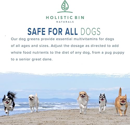 Miniatura 5 de Suplemento nutricional vegano para perros con fitoplancton marino, espirulina, clorella y hierba de cebada fermentada  Soporte orgánico para piel y