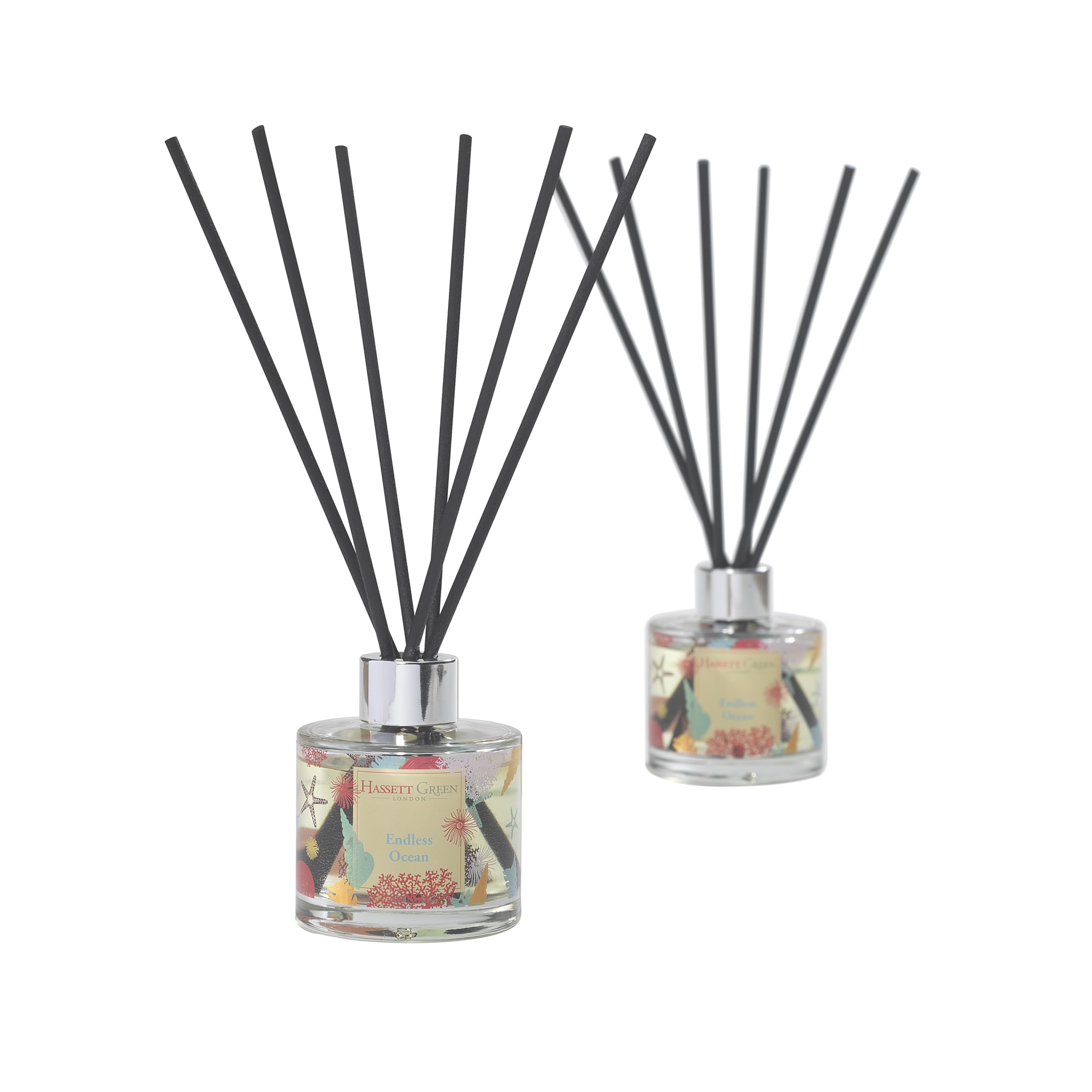 Hassett Green London Endless Ocean Reed Diffuser Duo 2 x 125ml | 2 empty glass bottles, fibre reeds & 250ml oil, Bergamot, lime, lavender & geranium, Alcohol-free, Reduced packaging, UK made