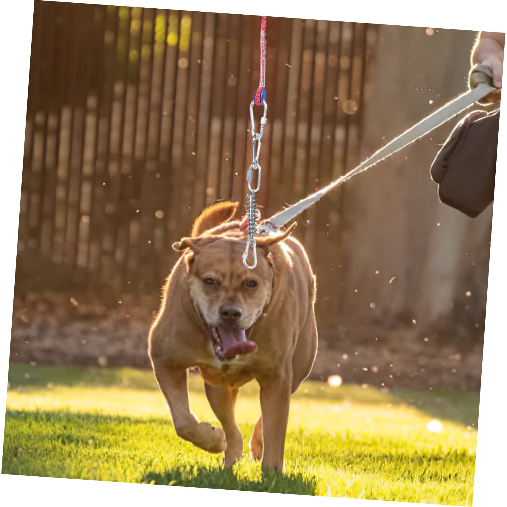 Didiseaon Correa para Perro Cable De Amarre para Perros Cuerda para Acampar para Mascotas para Camping y Actividades Resistente y para