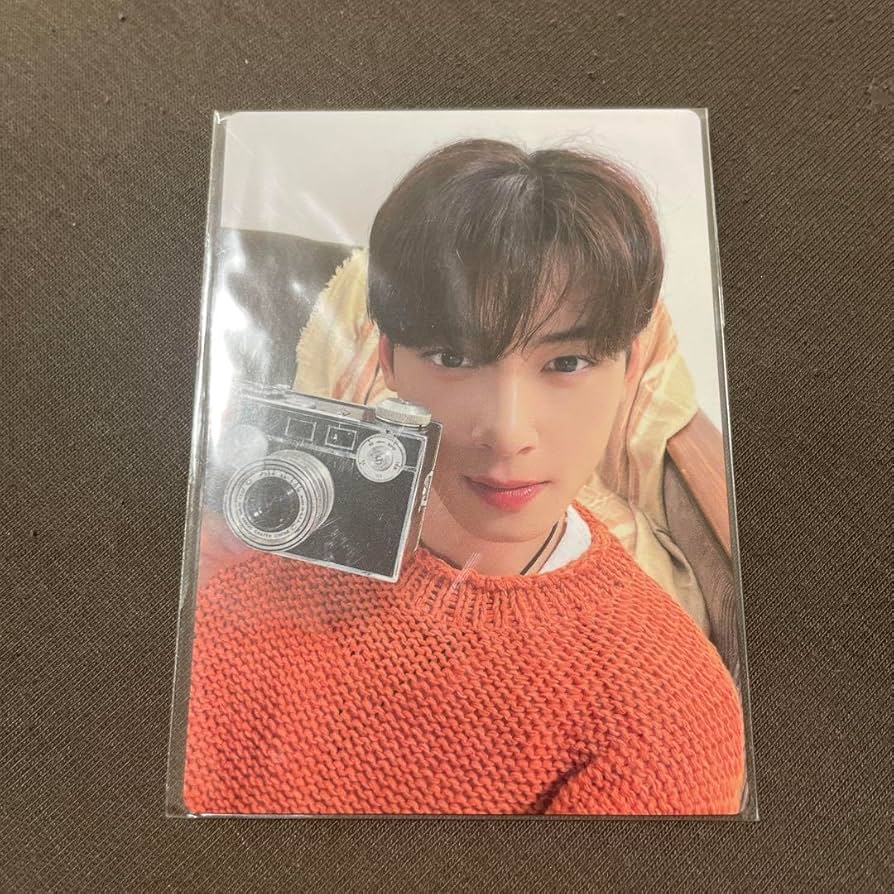 ASTRO 아스트로 차은우 チャウヌ CHAEUNWOO ファンミ トレカ Amazon.co.jp: ASTRO チャウヌ CHA EUN-WOO ファンミーティング 入場