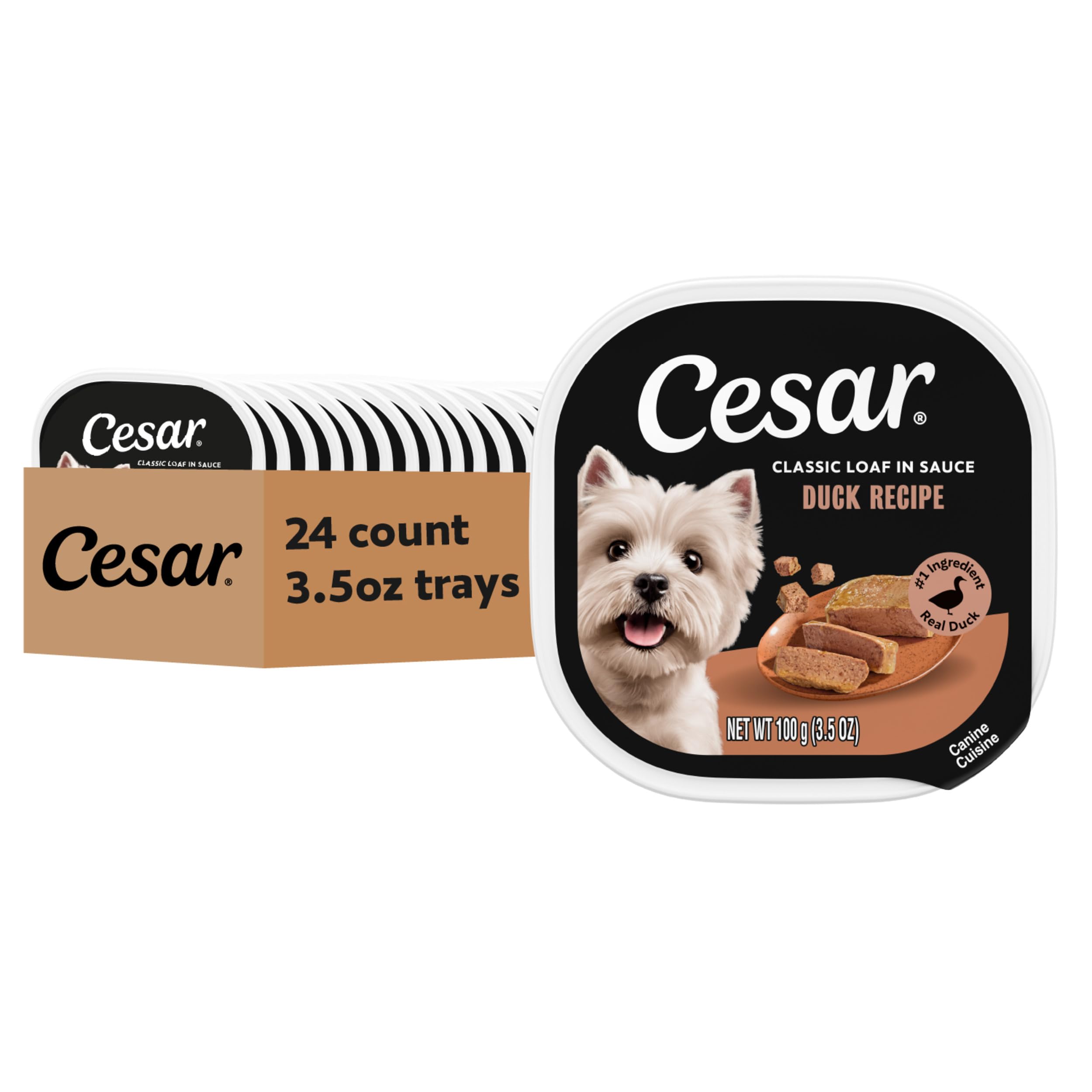 Cesar